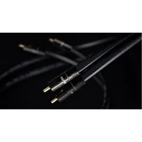 Atlas Hyper Digital RCA