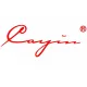 Cayin