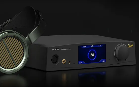 La forma e la funzione