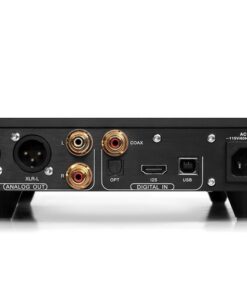Denafrips ARES 15TH R2R DAC - immagine 4