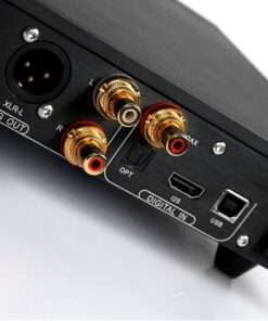 Denafrips ARES 15TH R2R DAC - immagine 5