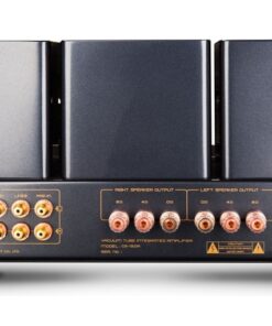 Cayin CS-150A KT150 - immagine 9