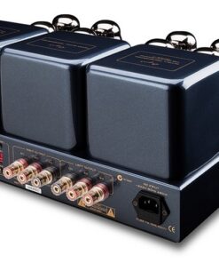 Cayin CS-100A KT-88 - immagine 6
