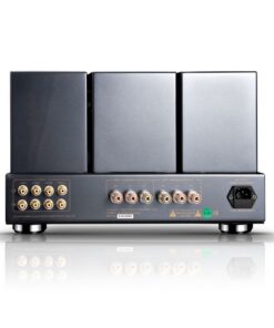 Cayin CS-845A - immagine 4