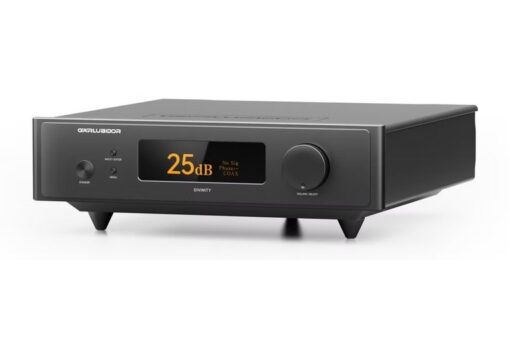 Garlubidor DIVINITY DAC