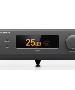 Alternative view of Garlubidor DIVINITY DAC