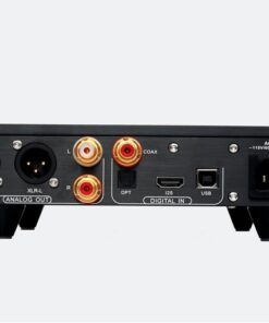 Denafrips ENYO 15TH R2R DAC - immagine 3