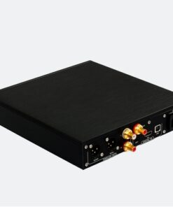 Denafrips ENYO 15TH R2R DAC - immagine 5
