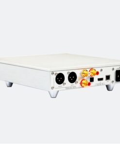 Denafrips ENYO 15TH R2R DAC - immagine 8