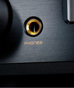 Cayin Jazz 80 KT-88 - immagine 7