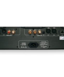 Denafrips TERMINATOR 15TH R2R DAC - immagine 3