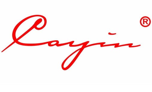 Cayin