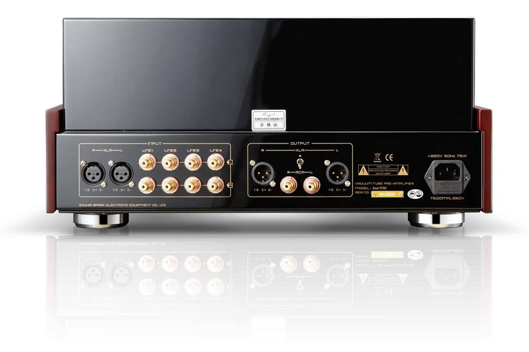 Cayin Soul 170C - immagine 4