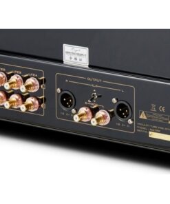 Cayin Soul 170C - immagine 5