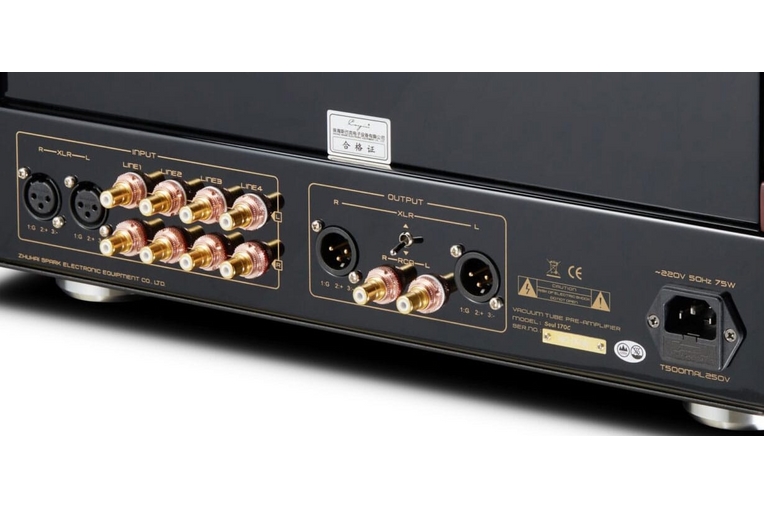 Cayin Soul 170C - immagine 5